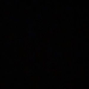 Meet your Posher, Jackson